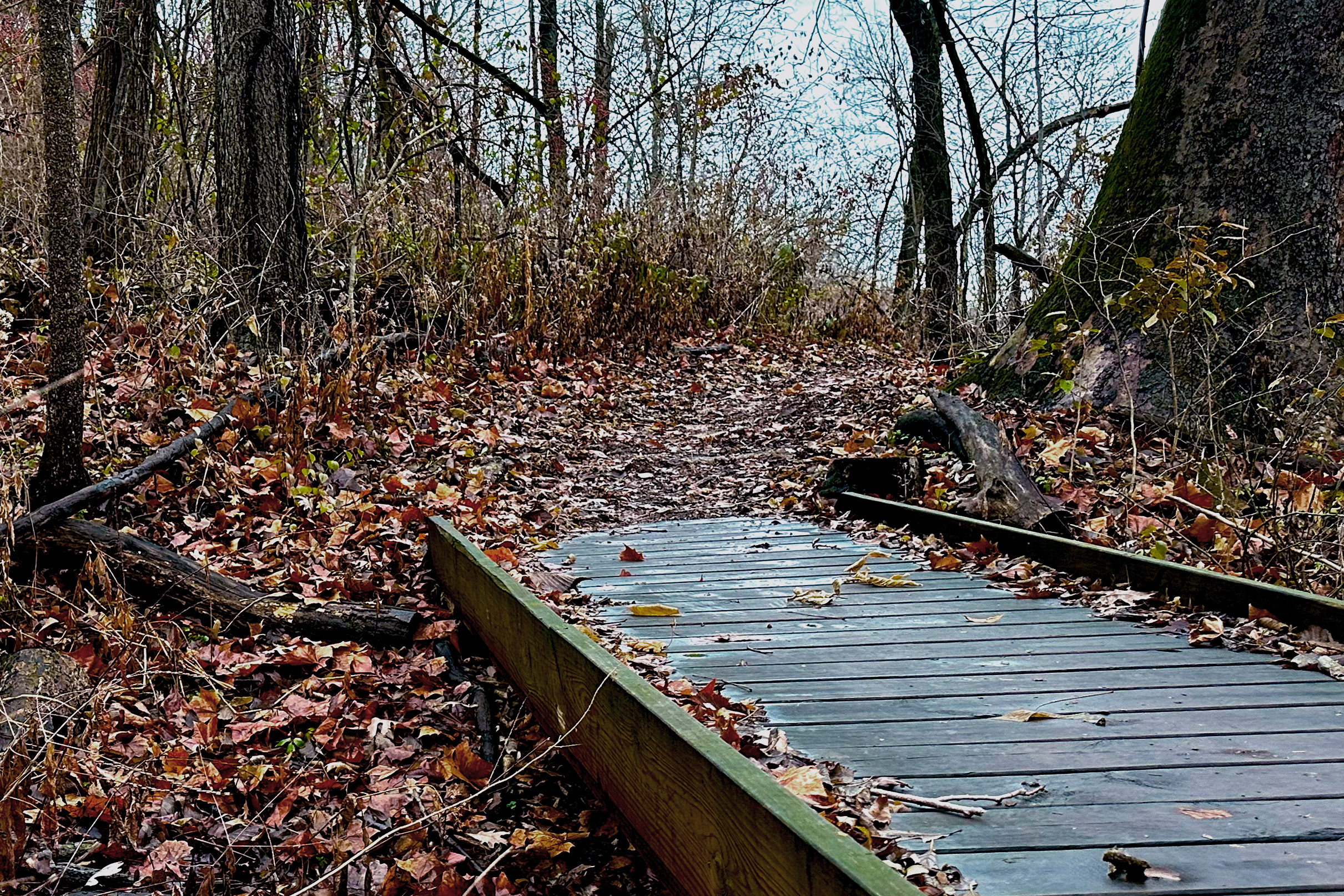 Photos from State Parks